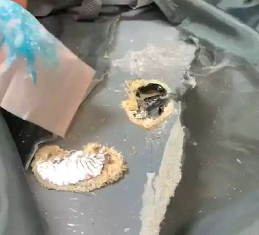 De Campo Grande, PF intercepta em SP malas com 25 quilos de coca
