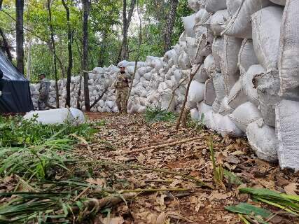 Polícia apreende 50 mil quilos de maconha em território paraguaio