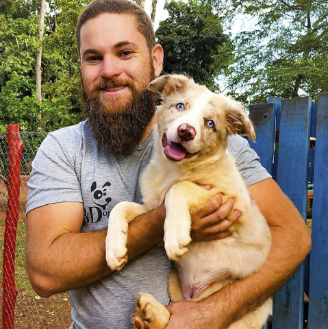 Be Dog realiza adestramento de cães a partir dos 60 dias de vida
