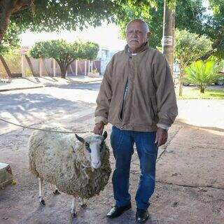 Xodó de Antônio, ovelha de 2 anos faz sucesso no Universitário
