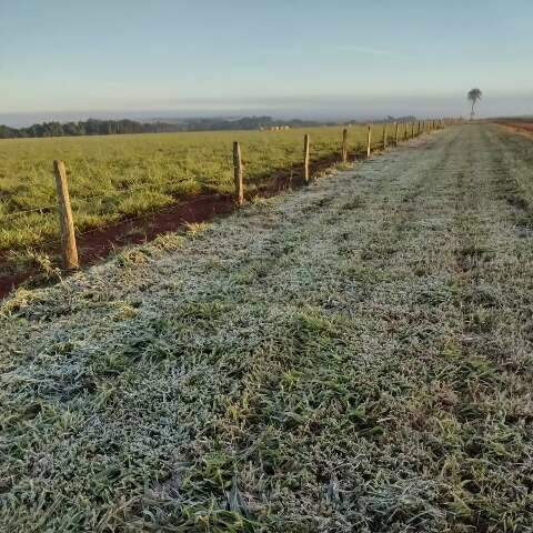 Mato Grosso do Sul registra m&iacute;nima de 1,6 grau e geadas atingem 12 munic&iacute;pios