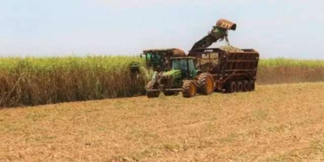 Setor agroindustrial estimula crescimento do PIB em Mato Grosso do Sul