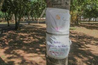 Tronco de árvore se tornou chat após poesia e desenho deixados em praça. (Foto: Marcos Maluf)