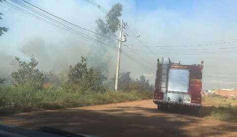 Incêndio em vegetação cobre de cinza região do São Conrado