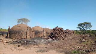 Carvoaria teve as atividades paralisadas pela Policia Militar Ambiental. (Foto: Divulgação | PMA)