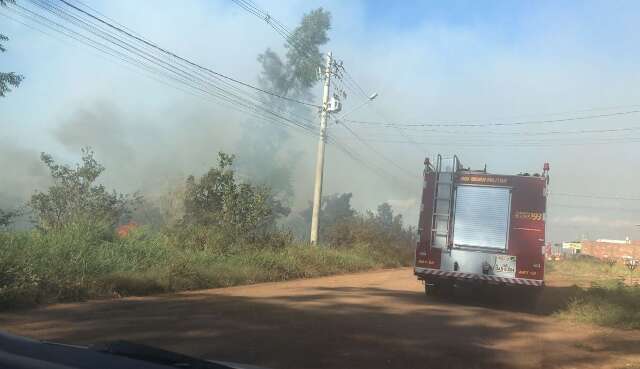 Inc&ecirc;ndio em vegeta&ccedil;&atilde;o cobre de cinza regi&atilde;o do S&atilde;o Conrado