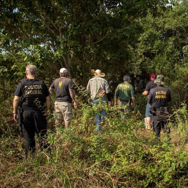 Do touro Budu à onça, os bichos que provocaram comoção em 2020 - Meio  Ambiente - Campo Grande News