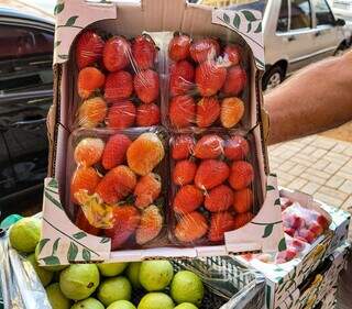 Vendedor lembra de quando vendia mais de 300 bandejas de morango ao dia. (Foto: Aletheya Alves)