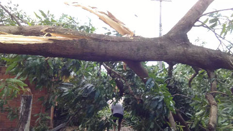 Após tempestade, governo reconhece situação de emergência em Miranda