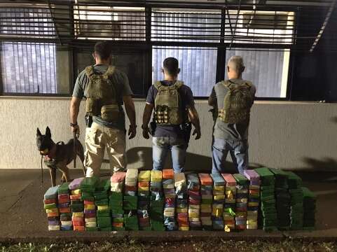 Com auxílio de cão policial, PF prende traficante com mais de 200 kg de droga 