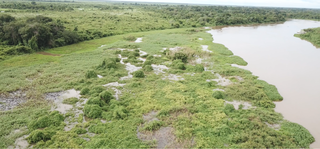 O Pantanal está mais seco. - Imagem: Wetlands International Brasil