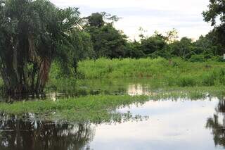 Áreas úmidas do Pantanal. - Wetlands International Brasil