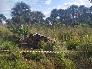 Após acidente, picape foi parar em área de vegetação (Foto: Ana Paula Chuva) 