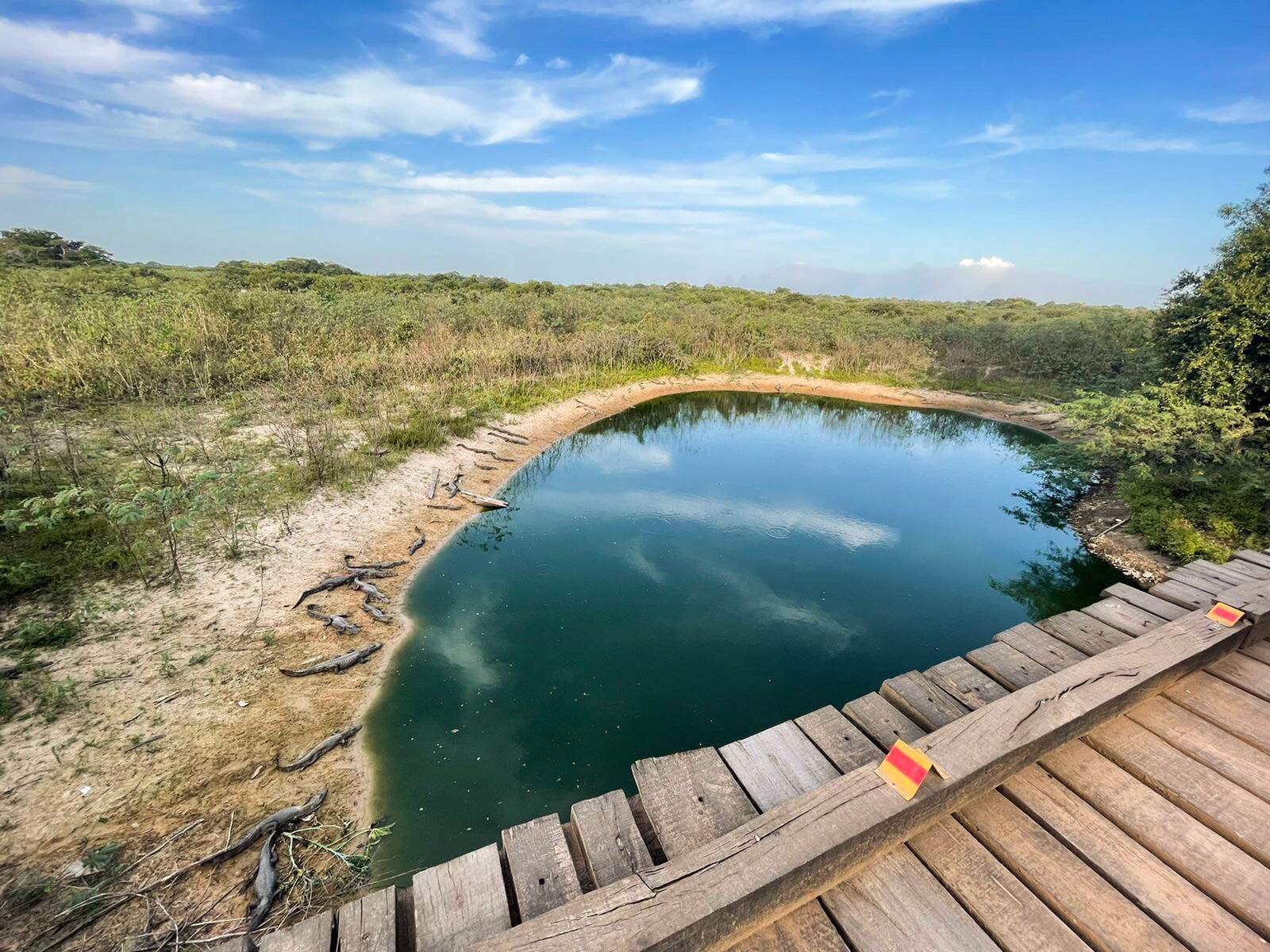 Travessia do Pantanal, uma aventura em sete dias - Lugares por Onde Ando -  Campo Grande News