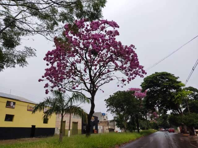 Chove depois de 16 dias e maio chega ao fim com volume abaixo do esperado