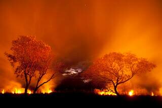Meta é evitar que o fogo consuma a região como ocorreu nos últimos anos. (Foto: WWF)