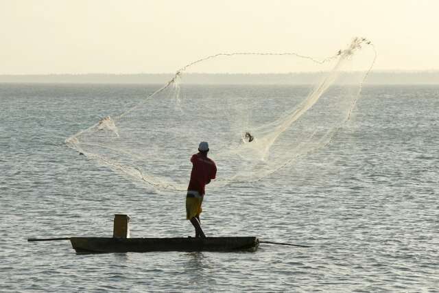 Governo suspende mais de 12 mil licen&ccedil;as irregulares de pescadores profissionais