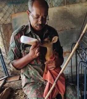 Animal mama depois de ser resgatado pela Polícia Militar Ambiental. (Foto: Assessoria PMA)