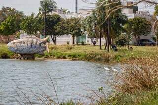 Lagoa fica na região do Tiradentes. (Foto: Henrique Kawaminami/Arquivo)