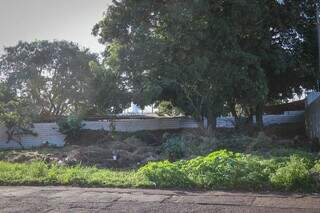 Terreno usado por usuários de droga no bairro, segundo moradores (Foto: Henrique Kawaminami)