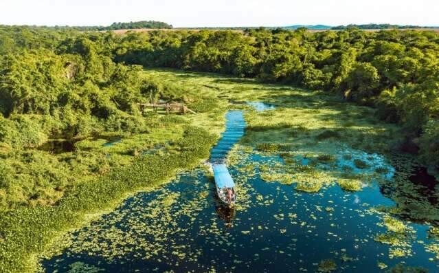 Pantanal no inverno tem até mergulho e banho de cachoeira