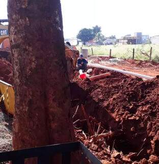 Árvore na Rua Dunga de Arruda e trabalhadores da obra de drenagem fazendo escavações que afetam a raiz, segundo moradores. (Foto: Direto das Ruas)