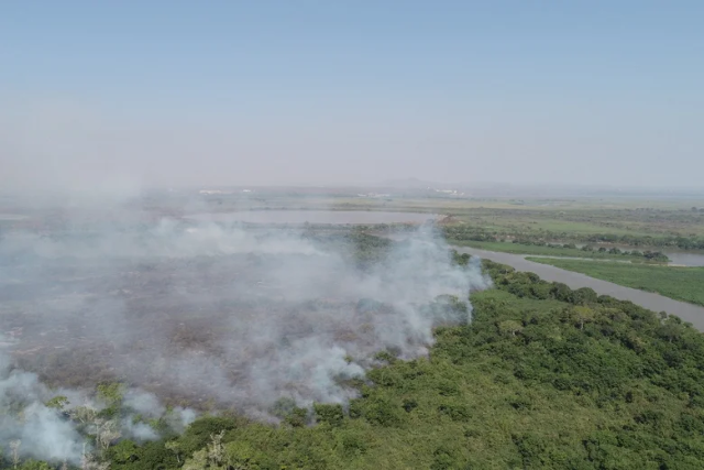 Com clima cada vez mais seco, governo pro&iacute;be queimadas controladas