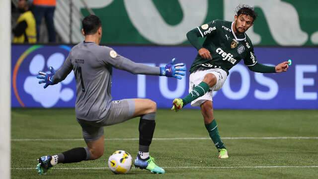 Palmeiras da show, goleia Botafogo e &eacute; l&iacute;der do Brasileir&atilde;o