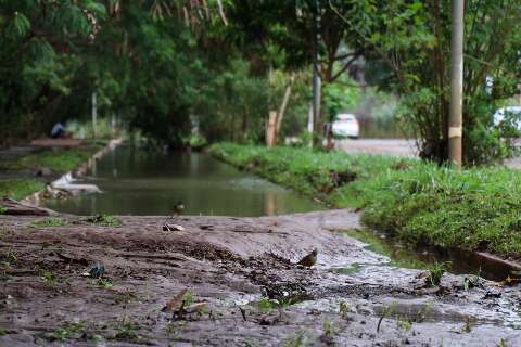 Chuva forte significa caos para quem mora no entorno do Córrego Imbirussu 