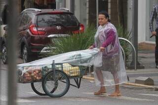 Vendedora Maria Neide protege legumes colocados à venda. (Foto: Marcos Maluf)