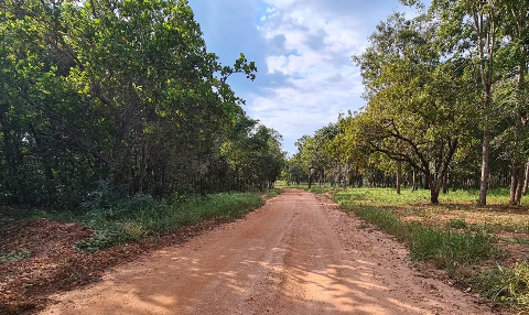Governo investe R$ 1,5 milhão em restauração de estrada turística de Bonito