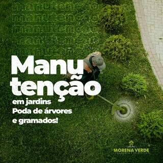 Tenha jardim dos sonhos com a Morena Verde. (Foto: Divulgação)