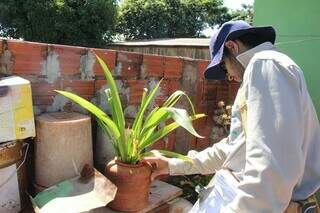 Trocar água dos vasos e plantas é um dos meios de combater a dengue. (Foto: Arquivo)
