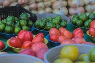 Legumes e frutas em feira da Capital (Foto: Marcos Maluf)