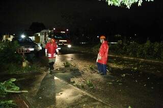 No Tijuca, árvore foi retirada da rua pelos bombeiros. (Foto: Kísie Ainoã)