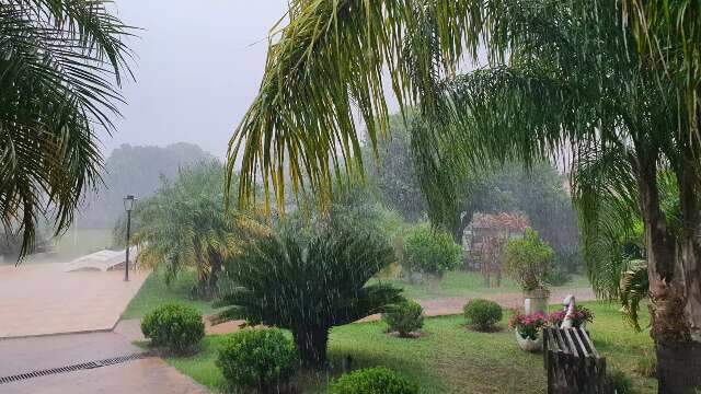 Confirmando previs&atilde;o, tarde come&ccedil;a com chuva e ventania