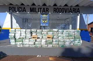 Ao todo foram apreendidas três toneladas e duzentos mil quilos de maconha (Foto: Divulgação)