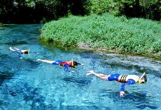 Flutuação no rio, em Bonito. (Foto: Divulgação)