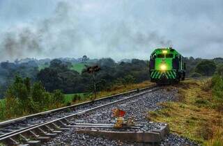 Locomotiva da Ferroeste trafega por malha antiga; projeto prevê investimentos de R$ 29 bilhões. (Foto: Divulgação)