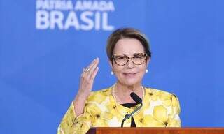 Tereza Crstina em discurso enquanto ainda era ministra da Agricultura (Foto: Agência Brasil)