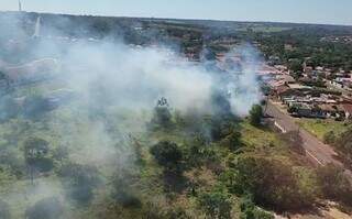 Voc&ecirc; j&aacute; flagrou algu&eacute;m provocando inc&ecirc;ndio em vegeta&ccedil;&atilde;o? Participe