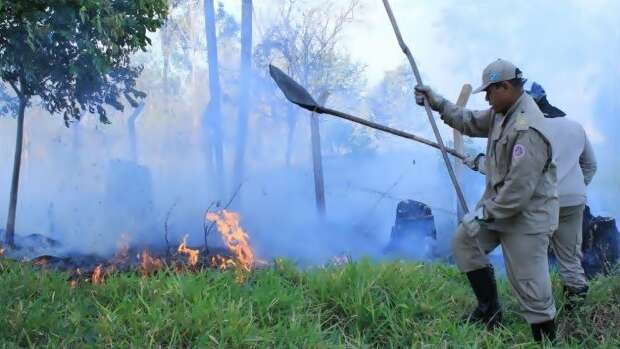 Maioria j&aacute; flagrou algu&eacute;m provocando inc&ecirc;ndio em vegeta&ccedil;&atilde;o