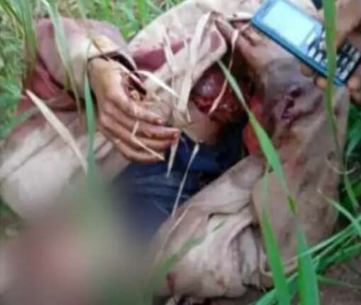 Indígena morre após confronto e chega a 11 o número de feridos em Amambai