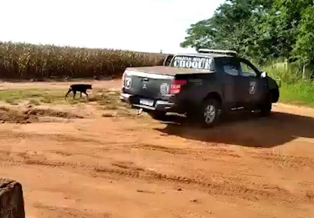 Clima ainda &eacute; tenso em &aacute;rea de confronto