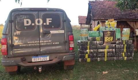 DOF encontra R$ 1,4 milhão de maconha em paiol que era entreposto de traficantes