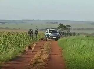 Momento em que policiais militares do Batalhão do Choque chegam à fazenda Borda da Mata, em Amambai. (Foto: Reprodução)