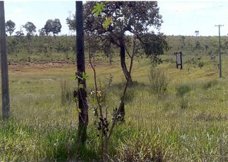 Imagem de 2019 mostra terreno localizado na saída para Três Lagoas. (Foto: Reprodução)