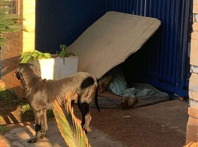 Morador de rua suspeito de furtos &eacute; executado enquanto dormia na fronteira