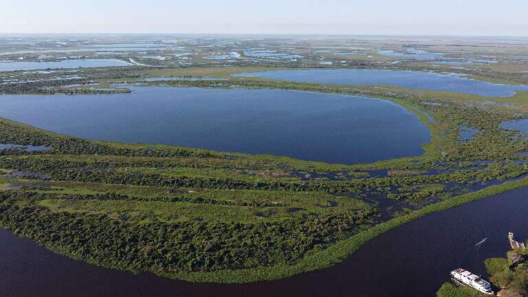 Imagem aérea do Pantanal. (Foto: Divulgação GM)