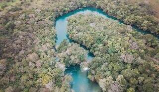 Imagem aérea do Rio Formoso, com mata ciliar preservada. (Foto: Divulgação) 